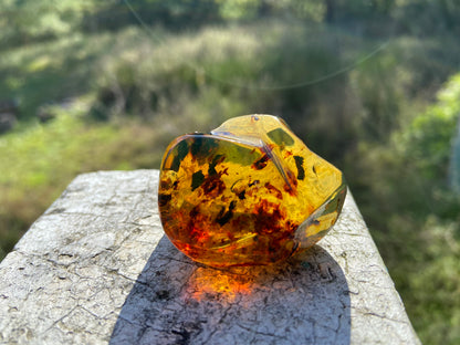 Polished Honey Amber (full of Bugs)