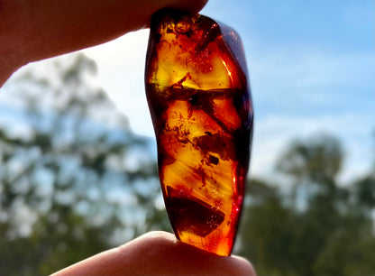 Rare Red Fire Amber: Baltic Sea Fossil with Organic Inclusions