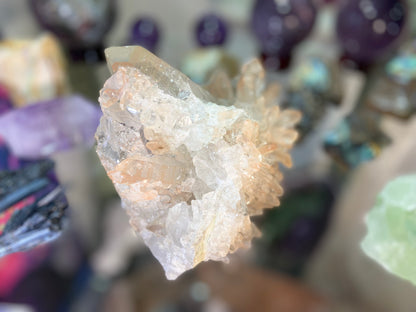 Golden Healer Lemurian Seed Cluster AAA+ Grade