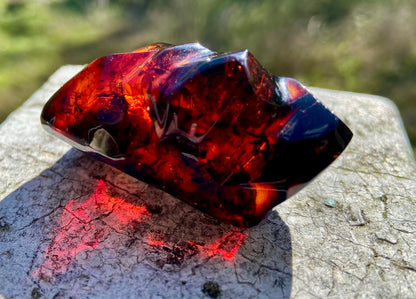 Rare Red Fire Baltic Amber: Ancient Inclusions, Collector's Gem