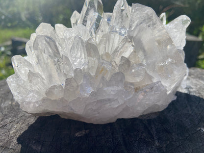 Lemurian Seed Quartz Cluster With A Smudge Of Golden Healer AAA+++