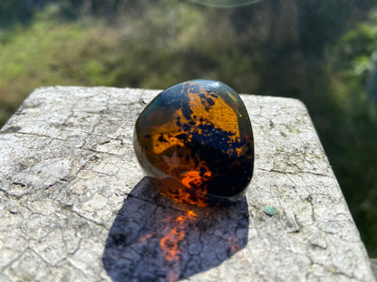 Polished Honey Amber (full of bugs)