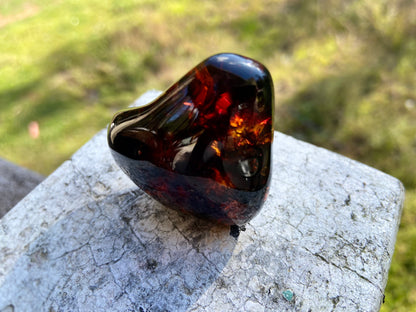 Rare Red Fire Baltic Amber with Ancient Organic Inclusions: Collector's Gem