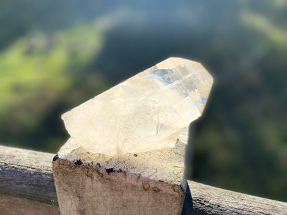 Natural Citrine Lemurian Cathedral Point with Inclusions | Timekeeper | 315g | Brazil