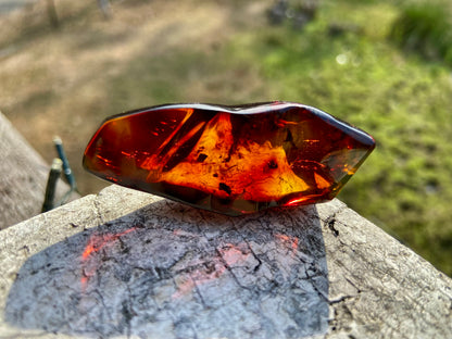 Rare Red Fire Amber: Baltic Sea Fossil with Organic Inclusions
