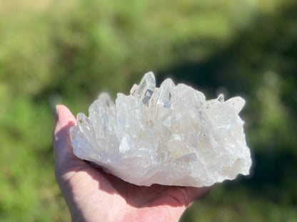 Lemurian Seed Quartz Cluster With A Smudge Of Golden Healer AAA+++