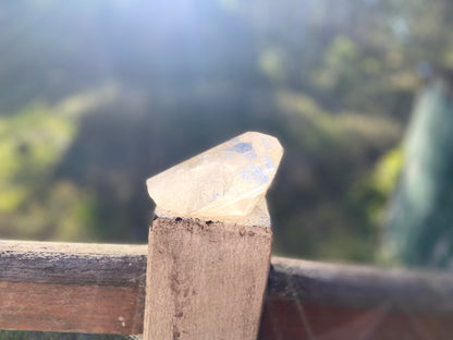 Natural Citrine Lemurian Cathedral Point with Inclusions | Timekeeper | 315g | Brazil