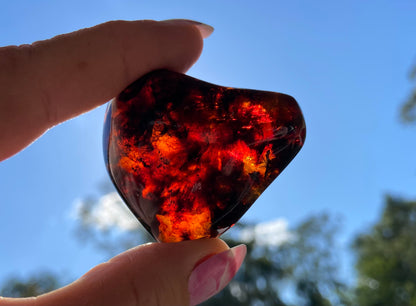 Rare Red Fire Baltic Amber with Ancient Organic Inclusions: Collector's Gem