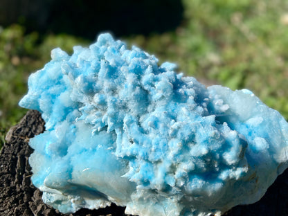 Blue Aragonite Cluster X Grade