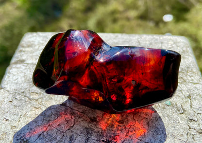 Rare Red Fire Baltic Amber: Ancient Inclusions, Collector's Gem