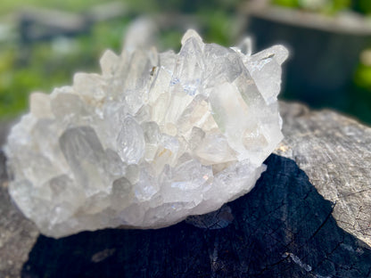 Lemurian Seed Quartz Cluster With A Smudge Of Golden Healer AAA+++