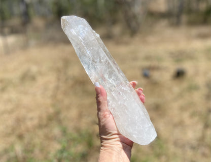 Lemurian Seed Quartz Crystal | Ancient Wisdom | Record Keepers |Phantasmagoric Rainbow | 1.313 kg