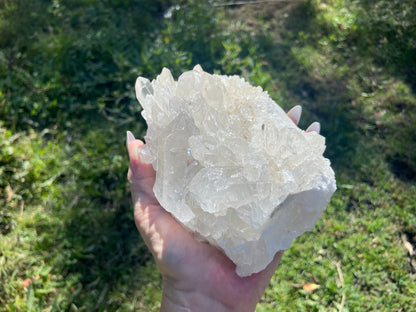 Lemurian Seed Quartz Cluster With A Smudge Of Golden Healer AAA+++