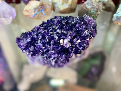 Amethyst Pineapple Cluster X Grade