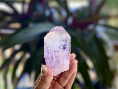 Brandberg Enhydro Amethyst Lemurian Seed Quartz AAA Quality