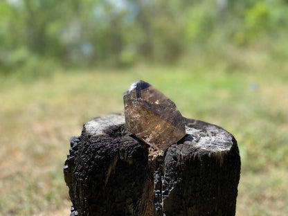 Smokey Citrine Freeform with Rainbow Veils