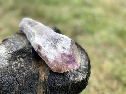 Dragon Tooth Amethyst and Ametrine Quartz Natural Point