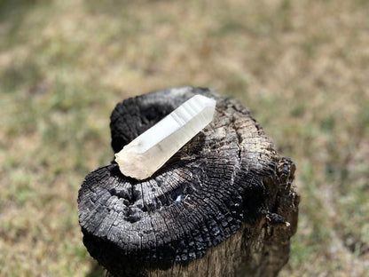 Shamanic Phantom Dream Lemurian Quartz with Pleiadian Starbrary