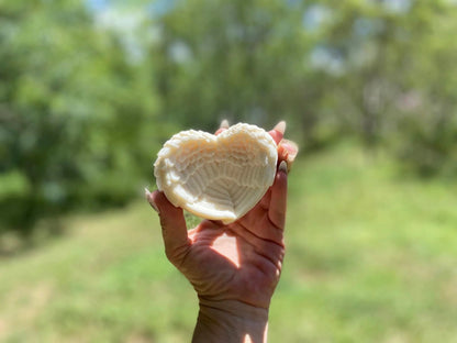 Angel Wing Elegant Trinket Dish