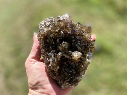 Natural Citrine Lemurian Seed Cluster