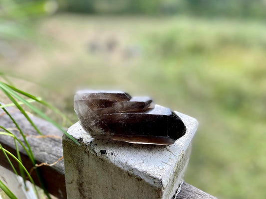 Smokey Quartz Ascending Cathedral Lemurian Seed Point