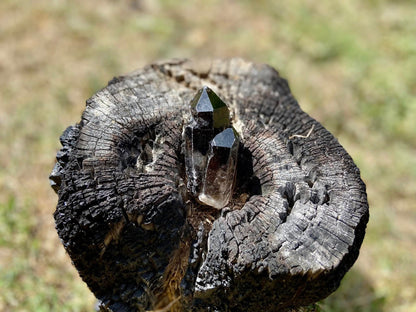 Smokey Quartz Cathedral Elestial Lemurian Seed Point