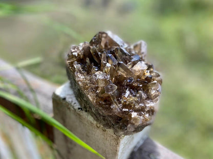Natural Citrine Lemurian Seed Cluster