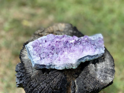 Amethyst Cluster