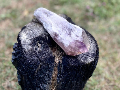 Dragon Tooth Amethyst and Ametrine Quartz Natural Point