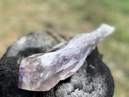Dragon Tooth Amethyst and Ametrine Quartz Natural Point