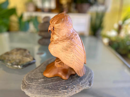 Teak Owl Hand Carved