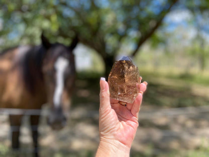 Smokey Citrine Freeform with Rainbow Veils