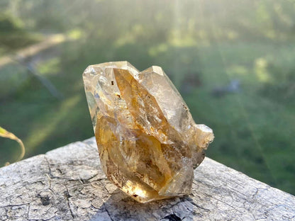Herkimer Diamond with Record Keeper |  High-Vibrational Attunement | 47g