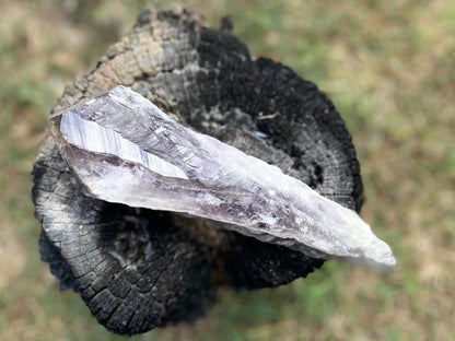 Dragon Tooth Amethyst and Ametrine Quartz Natural Point