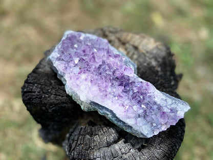 Amethyst Cluster