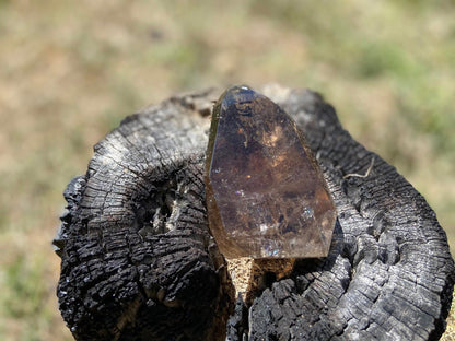 Smokey Citrine Freeform with Rainbow Veils
