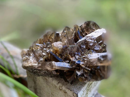 Natural Citrine Lemurian Seed Cluster