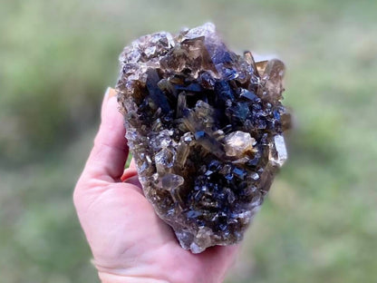 Natural Citrine Lemurian Seed Cluster