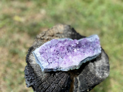 Amethyst Cluster