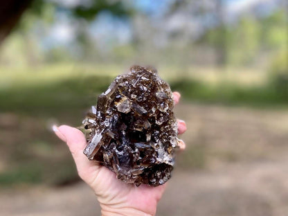 Natural Citrine Lemurian Seed Cluster