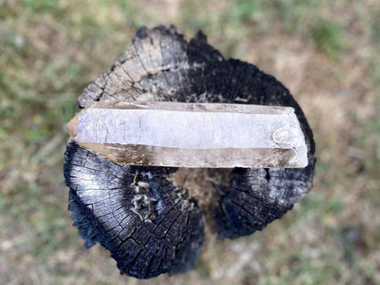 Natural Citrine Pleiadian Starbrary Point Crystal Brazil