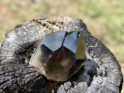 Smokey Quartz Twin Elestial Lemurian Seed Point
