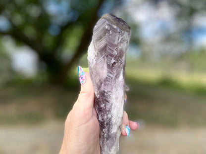 Dragon Tooth Amethyst and Ametrine Quartz Natural Point