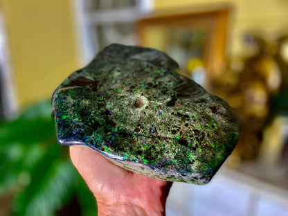 Stunning Gigantic Australian Andamooka Treated Opal Slab