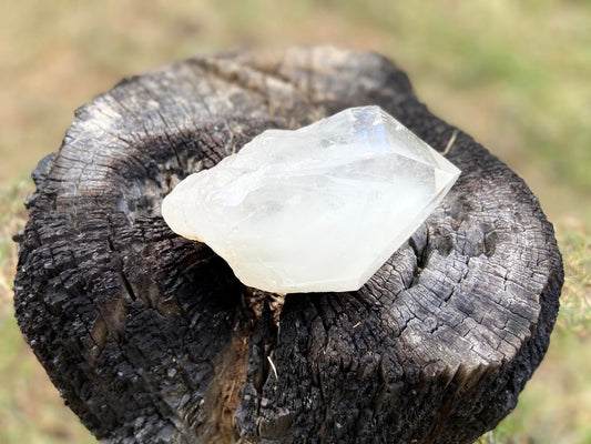 Shamanic Phantom Dream Lemurian Quartz