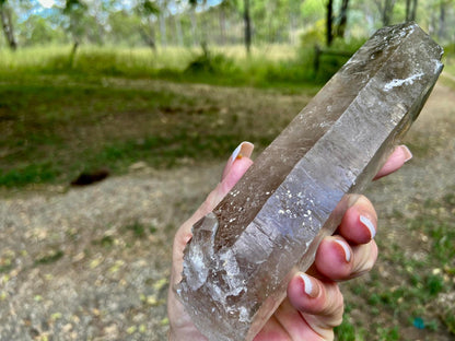 Natural Citrine Pleiadian Starbrary Point Crystal Brazil