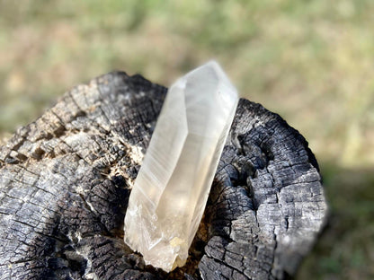 Shamanic Phantom Dream Lemurian Quartz with Pleiadian Starbrary