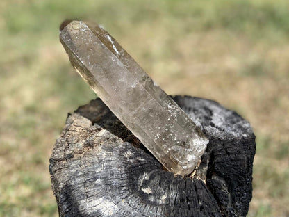 Natural Citrine Pleiadian Starbrary Point Crystal Brazil