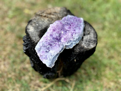Amethyst Cluster