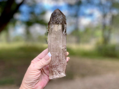 Natural Citrine Pleiadian Starbrary Point Crystal Brazil